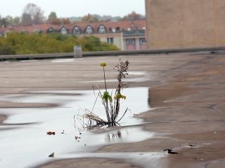 A zöld SZTK-ban jártunk - fotó: Sándor Judit