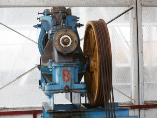 A zöld SZTK-ban jártunk - fotó: Sándor Judit