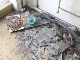 A zöld SZTK-ban jártunk - fotó: Sándor Judit