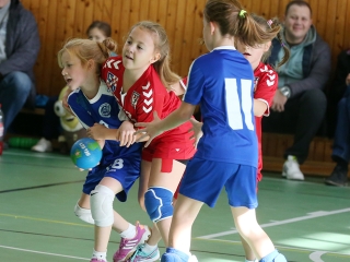 Üstökös Kupa 2016 - fotó: Sándor Judit