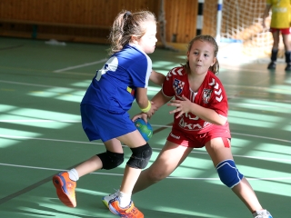 Üstökös Kupa 2016 - fotó: Sándor Judit