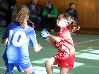 Üstökös Kupa 2016 - fotó: Sándor Judit