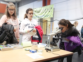 Zöld Nap a DUE-n 2016 - fotó: Sándor Judit