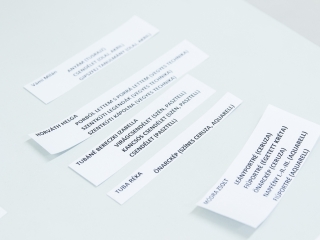 Tizennégy alkotó kiállítása - fotó: Ónodi Zoltán