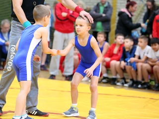 Birkózás - Majosházi István Emlékverseny - fotó: Sándor Judit