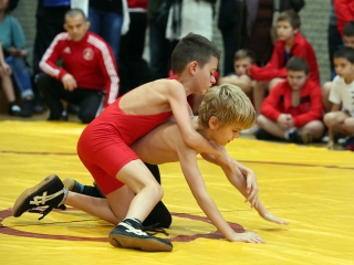 Birkózás - Majosházi István Emlékverseny - fotó: Sándor Judit