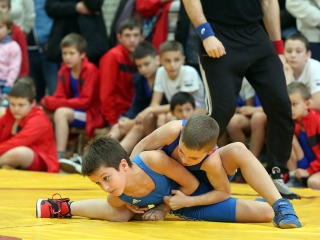 Birkózás - Majosházi István Emlékverseny - fotó: Sándor Judit