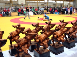 Birkózás - Majosházi István Emlékverseny - fotó: Sándor Judit