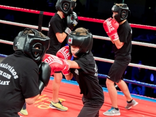 Bokszgála az egyetemi sportcsarnokban - fotó: Ónodi Zoltán