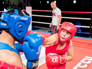 Bokszgála az egyetemi sportcsarnokban - fotó: Ónodi Zoltán