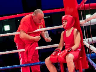 Bokszgála az egyetemi sportcsarnokban - fotó: Ónodi Zoltán