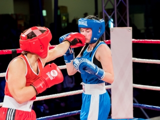 Bokszgála az egyetemi sportcsarnokban - fotó: Ónodi Zoltán