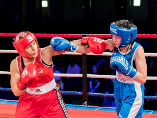 Bokszgála az egyetemi sportcsarnokban - fotó: Ónodi Zoltán