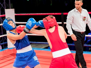 Bokszgála az egyetemi sportcsarnokban - fotó: Ónodi Zoltán