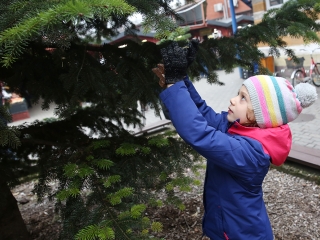 Koszorúkészítés kalákában - fotó: Sándor Judit