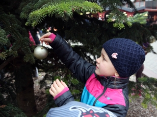 Koszorúkészítés kalákában - fotó: Sándor Judit