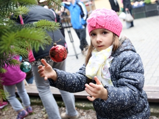 Koszorúkészítés kalákában - fotó: Sándor Judit