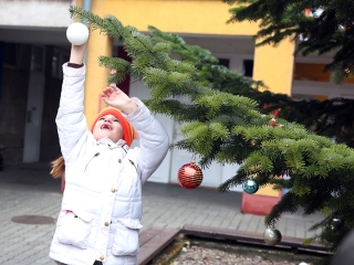 Koszorúkészítés kalákában - fotó: Sándor Judit