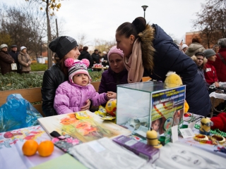 Advent első vasárnapja a Rómain (2016) - fotó: Ónodi Zoltán