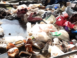 Lezárták a zöld SZTK-t - fotó: Sándor Judit