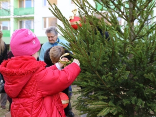 Advent harmadik vasárnapja a Rómain - fotó: Ónodi Zoltán