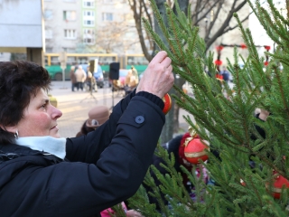 Advent harmadik vasárnapja a Rómain - fotó: Ónodi Zoltán