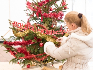 Karácsonyfa díszítés - fotó: Ónodi Zoltán