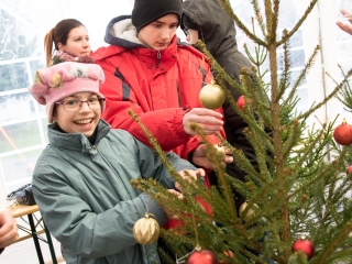 Karácsonyfa díszítés - fotó: Ónodi Zoltán