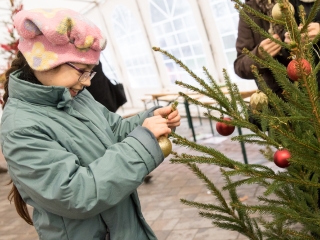 Karácsonyfa díszítés - fotó: Ónodi Zoltán