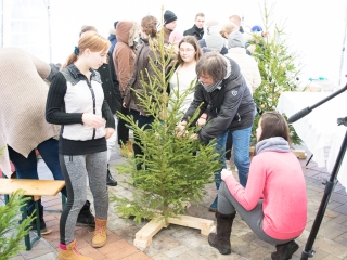 Karácsonyfa díszítés - fotó: Ónodi Zoltán