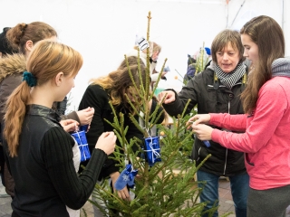 Karácsonyfa díszítés - fotó: Ónodi Zoltán