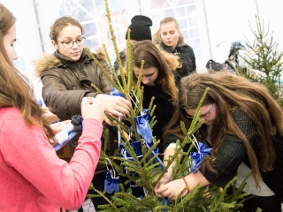 Karácsonyfa díszítés - fotó: Ónodi Zoltán