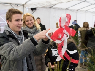 Karácsonyfa díszítés - fotó: Ónodi Zoltán