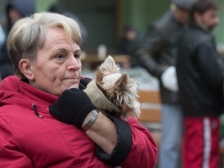 Aranyvasárnap a Rómain - fotó: Ónodi Zoltán