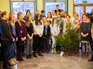 Karácsonyfa díszítők versenye - fotó: Ónodi Zoltán