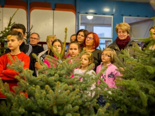 Karácsonyfa díszítők versenye - fotó: Ónodi Zoltán