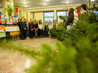 Karácsonyfa díszítők versenye - fotó: Ónodi Zoltán