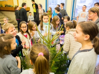 Karácsonyfa díszítők versenye - fotó: Ónodi Zoltán