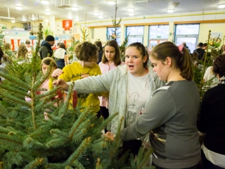 Karácsonyfa díszítők versenye - fotó: Ónodi Zoltán