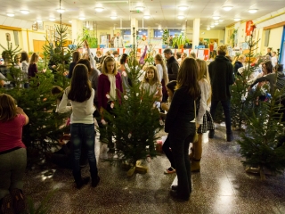 Karácsonyfa díszítők versenye - fotó: Ónodi Zoltán