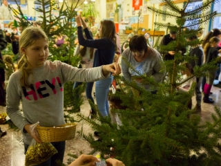 Karácsonyfa díszítők versenye - fotó: Ónodi Zoltán