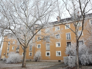 Téli képek városunkról - fotó: Sándor Judit