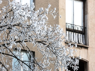 Téli képek városunkról - fotó: Sándor Judit