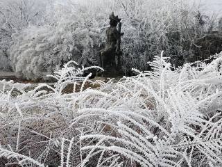 Téli képek városunkról - fotó: Sándor Judit
