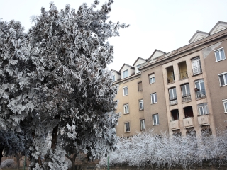 Téli képek városunkról - fotó: Sándor Judit