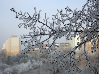 Téli képek városunkról - fotó: Sándor Judit