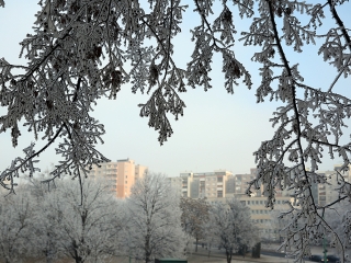 Téli képek városunkról - fotó: Sándor Judit