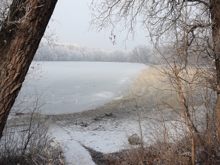 Téli képek városunkról - fotó: Sándor Judit