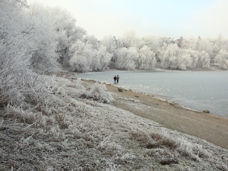 Téli képek városunkról - fotó: Sándor Judit