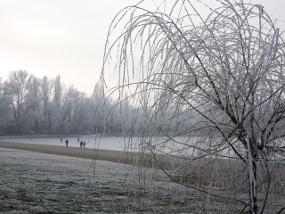 Téli képek városunkról - fotó: Sándor Judit